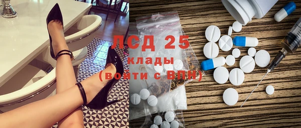 ГАЛЛЮЦИНОГЕННЫЕ ГРИБЫ Нея