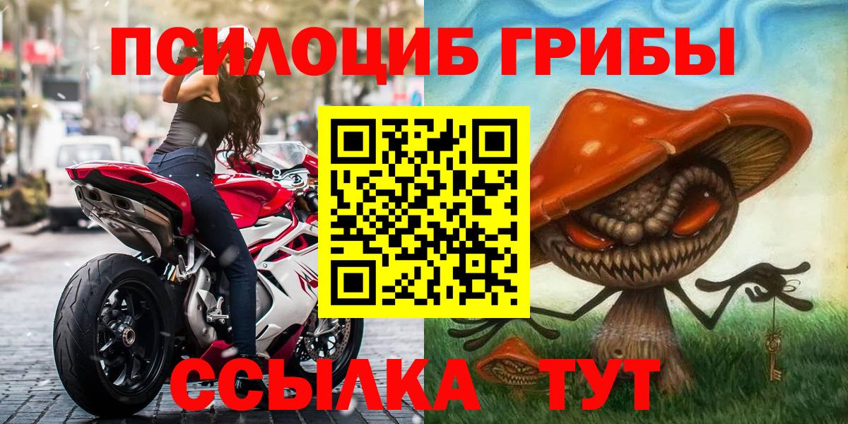 Каменка  Галлюциногенные грибы Cubensis  Вход с VPN 