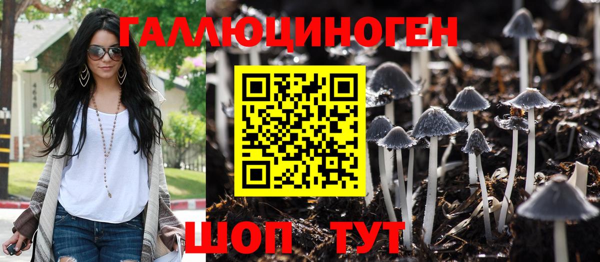 Галлюциногенные грибы прущие грибы  Галлюциногенные грибы Cubensis  Каменка 